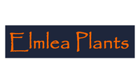 Elmlea Plants