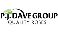 PJ Dave Group
