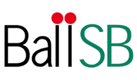 Ball SB Company