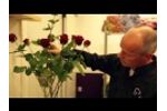 Florist Flower Care Tips Video