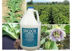 Sincocin - Liquid Concentrate for Suppression of Nematodes and Associated Pathogens