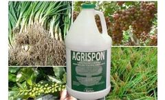 Agrispon - Soil and Plants Biostimulant