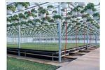 DeCloet - Greenhouse Bench Systems
