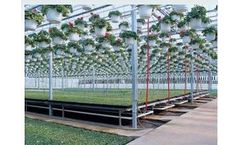 DeCloet - Greenhouse Bench Systems