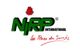 NIRP International S.A.