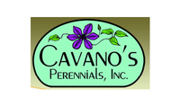 Cavano`s Perennials Inc