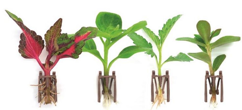 Fides - Groundbreaking Rooting Technology