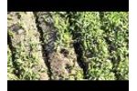 Greens Overseeder by AgriMeta Video