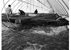 BRA - Recirculating aquaculture systems (RAS)