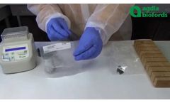 How to perform an isothermal amplification test with AmplifyRP? - Video