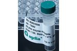 Agdia - Enzyme Conjugate Antiboby (ECA)