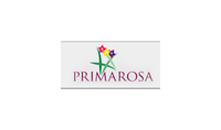 Primarosa Flowers Limited