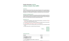 Model LMV - Lettuce Mosaic Virus Leaf Samples Strip - Brochure