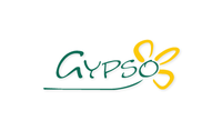 Gypso Flowers