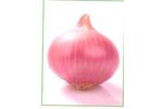 Onion Lalima Seeds
