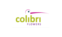 Colibri Flowers