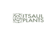 ItSaul Plants, Inc.