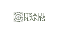 ItSaul Plants, Inc.