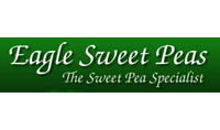 Eagle Sweet Peas