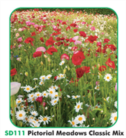 Model 50G - Pictorial Meadows Classic Mix
