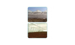 Natural Ventilated Greenhouse Construction Services