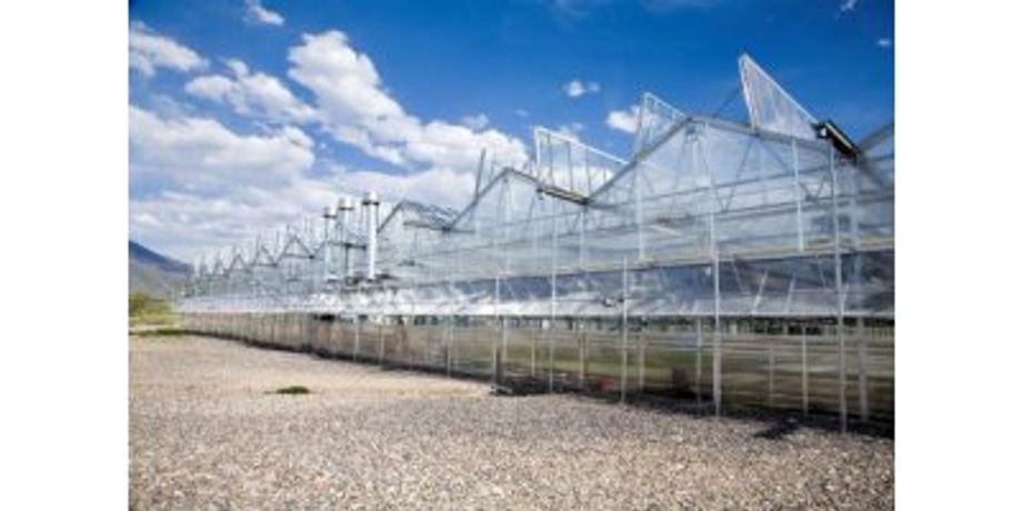 Nexus - Commercial Growers Greenhouse Structures