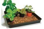 Simply - 3 for 2 Gravel Trays