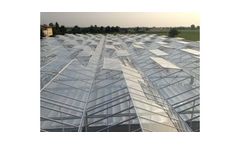 Venlo - Alternating Vents Greenhouse
