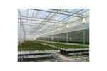 Venlo - Continuous Vents Greenhouse