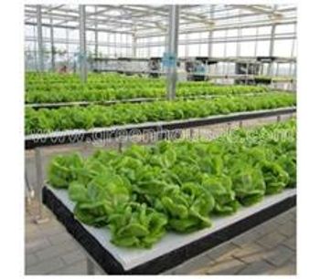 Commercial Hydroponic System for Plastic Vegetable Growing Greenhouse