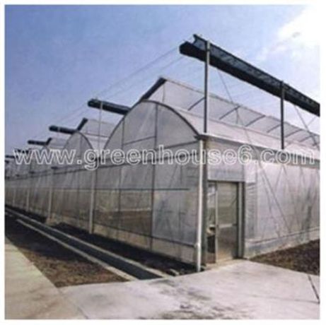 Model ST832 - Sawtooth Plastic Film Ventilation Greenhouse for Tropical Climate