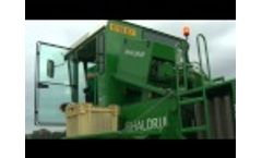 HALDRUP F-55 Grass Harvester - IBERS, Wales, UK Video