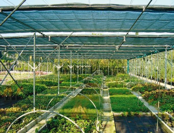Field Crops Climate Halls-1