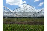 Rovero - Saw Tooth Film Greenhouse