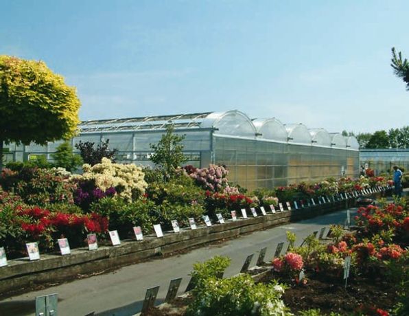 Film Greenhouse for Garden Centres-3