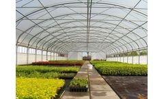 Rovero - Tunnel Greenhouses With Straight Sides