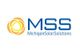 Michigan Solar Solutions (MSS)