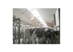 Arntjen - Ventilation and Exhaust Systems for Cubicle Barns