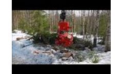 HT2 - cutting tree Video