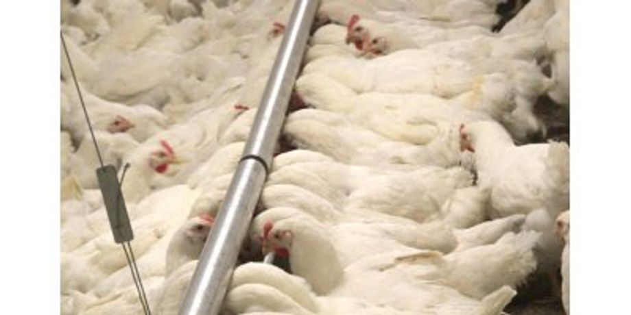 BRIDOMAT - Trough Poultry Feeding System