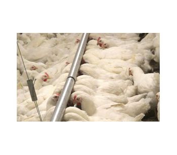 BRIDOMAT - Trough Poultry Feeding System