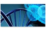 Gene Expression Services