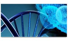 Gene Expression Services