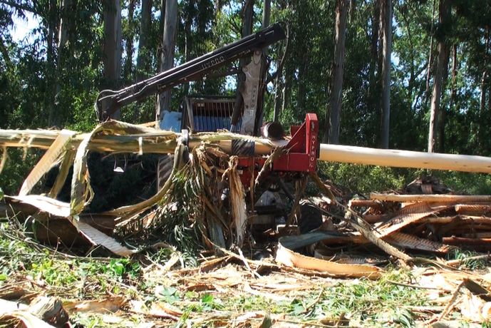 Eucalyptus Wheel Carried Tractor Processor-3