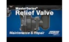 FEBCO MasterSeries Relief Valve Maintenance & Repair  Video