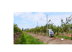 Real-Time Soil Moisture Monitoring Services