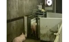 Osborne FIRE Pig Performance Testing System Video