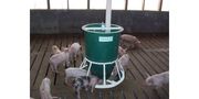 Ad-lib Hog Feeders and Pig Feeders