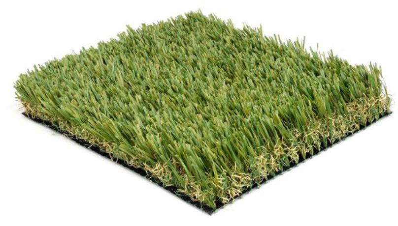 Model Gilding Series - Grass