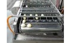 Hard boiled egg peeling machine, automatic egg peeling machine Video